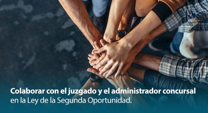 Colaborar con el juzgado y el administrador concursal en la Ley de la Segunda Oportunidad